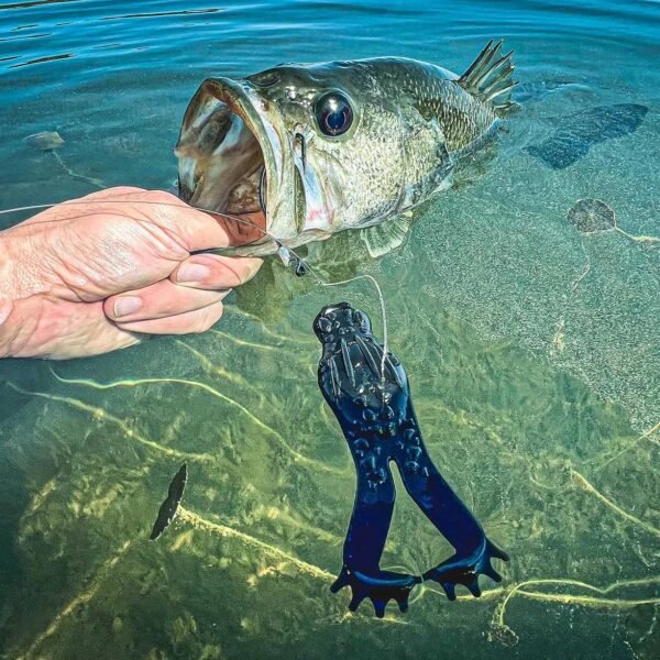 北水fit魷釣魚團 (散團 / 包艇)