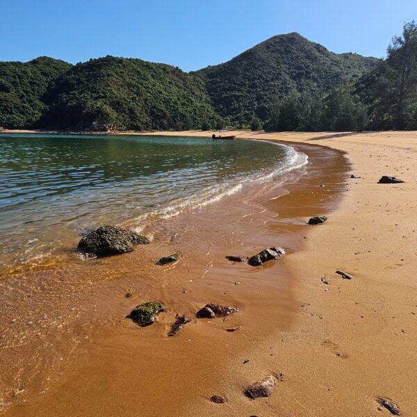 往灣洲租船