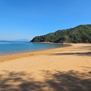 往灣洲租船