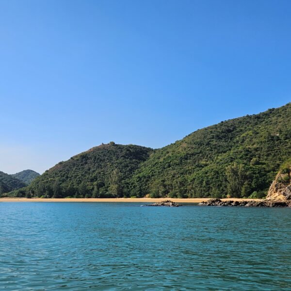 往灣洲租船