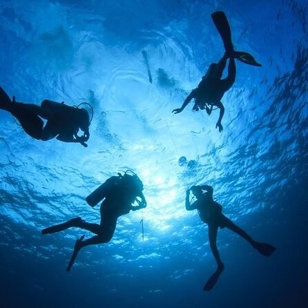 skr hk diving master hiring