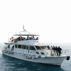 50人中式遊艇包船 香港船P及團體活動